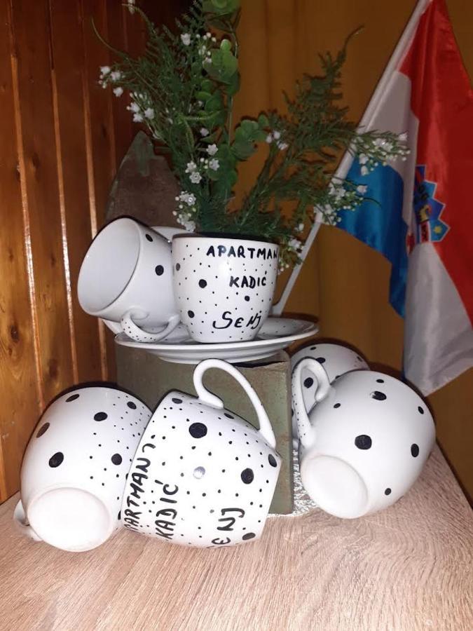 Apartman Kadic Senj Senj  Eksteriør billede